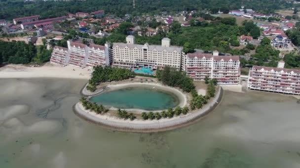 Port Dickson Negeri Sembilan Malezya Ocak 2020 Hibiscus Çiçeği Damga — Stok video