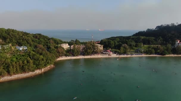 Port Dickson Negeri Sembilan Maleisië Januari 2020 Hibiscus Bloemen Stigmavormige — Stockvideo