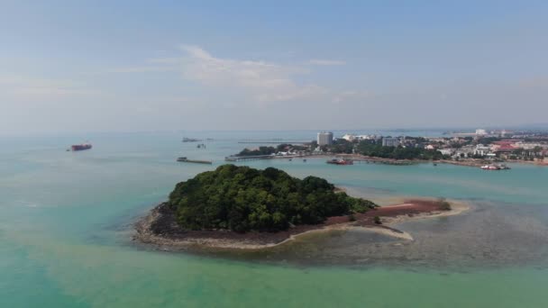 Port Dickson Negeri Sembilan Malaysia Januar 2020 Die Hibiskusblüte Und — Stockvideo