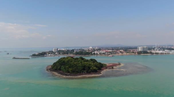 Port Dickson Negeri Sembilan Malaysia January 2020 Hibiscus Flower Stigma — 비디오