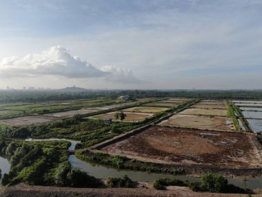 Kuching, Sarawak / Malezya - 1 Şubat 2020: Malezya 'da bir balıkçılık ve karides çiftliğinin havadan görünüşü