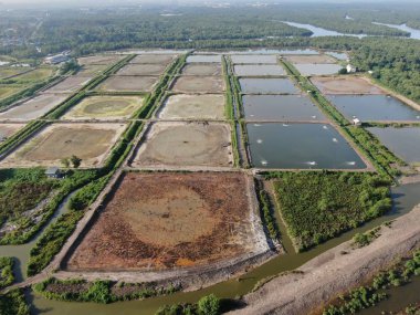 Kuching, Sarawak / Malezya - 1 Şubat 2020: Malezya 'da bir balıkçılık ve karides çiftliğinin havadan görünüşü