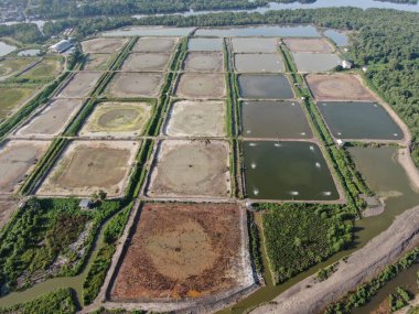 Kuching, Sarawak / Malezya - 1 Şubat 2020: Malezya 'da bir balıkçılık ve karides çiftliğinin havadan görünüşü