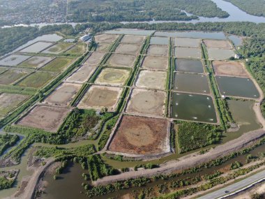 Kuching, Sarawak / Malezya - 1 Şubat 2020: Malezya 'da bir balıkçılık ve karides çiftliğinin havadan görünüşü