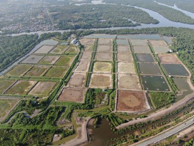 Kuching, Sarawak / Malezya - 1 Şubat 2020: Malezya 'da bir balıkçılık ve karides çiftliğinin havadan görünüşü