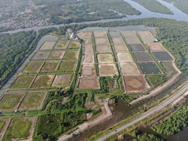 Kuching, Sarawak / Malezya - 1 Şubat 2020: Malezya 'da bir balıkçılık ve karides çiftliğinin havadan görünüşü