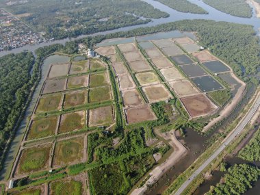 Kuching, Sarawak / Malezya - 1 Şubat 2020: Malezya 'da bir balıkçılık ve karides çiftliğinin havadan görünüşü