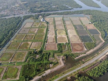 Kuching, Sarawak / Malezya - 1 Şubat 2020: Malezya 'da bir balıkçılık ve karides çiftliğinin havadan görünüşü