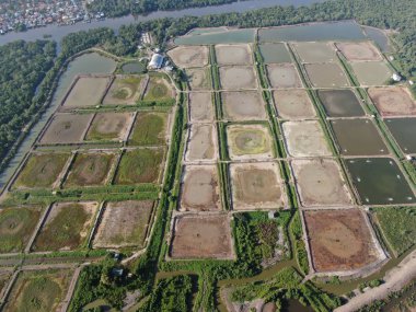 Kuching, Sarawak / Malezya - 1 Şubat 2020: Malezya 'da bir balıkçılık ve karides çiftliğinin havadan görünüşü