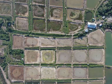 Kuching, Sarawak / Malezya - 1 Şubat 2020: Malezya 'da bir balıkçılık ve karides çiftliğinin havadan görünüşü