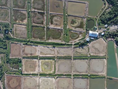 Kuching, Sarawak / Malezya - 1 Şubat 2020: Malezya 'da bir balıkçılık ve karides çiftliğinin havadan görünüşü