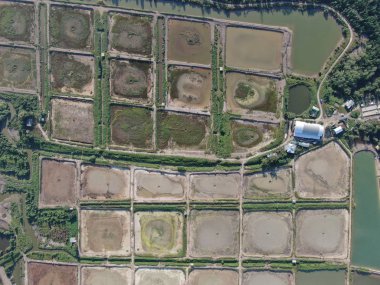 Kuching, Sarawak / Malezya - 1 Şubat 2020: Malezya 'da bir balıkçılık ve karides çiftliğinin havadan görünüşü