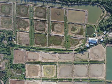 Kuching, Sarawak / Malezya - 1 Şubat 2020: Malezya 'da bir balıkçılık ve karides çiftliğinin havadan görünüşü