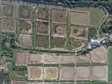 Kuching, Sarawak / Malezya - 1 Şubat 2020: Malezya 'da bir balıkçılık ve karides çiftliğinin havadan görünüşü