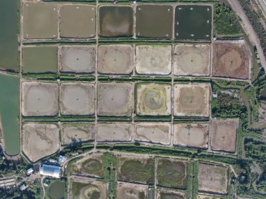 Kuching, Sarawak / Malezya - 1 Şubat 2020: Malezya 'da bir balıkçılık ve karides çiftliğinin havadan görünüşü