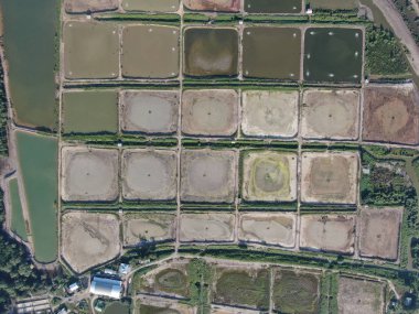 Kuching, Sarawak / Malezya - 1 Şubat 2020: Malezya 'da bir balıkçılık ve karides çiftliğinin havadan görünüşü