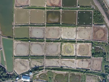 Kuching, Sarawak / Malezya - 1 Şubat 2020: Malezya 'da bir balıkçılık ve karides çiftliğinin havadan görünüşü