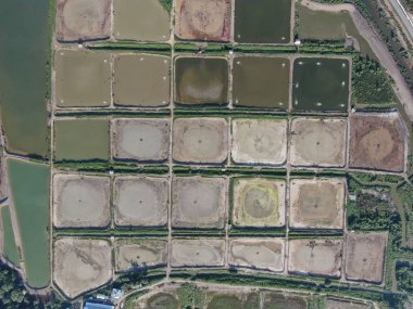 Kuching, Sarawak / Malezya - 1 Şubat 2020: Malezya 'da bir balıkçılık ve karides çiftliğinin havadan görünüşü