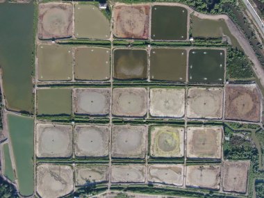 Kuching, Sarawak / Malezya - 1 Şubat 2020: Malezya 'da bir balıkçılık ve karides çiftliğinin havadan görünüşü