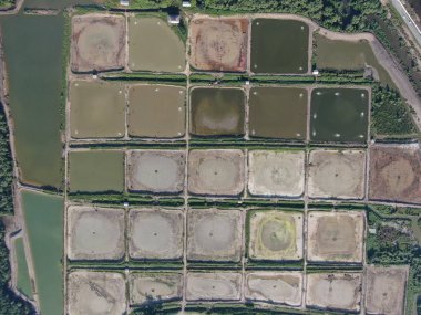 Kuching, Sarawak / Malezya - 1 Şubat 2020: Malezya 'da bir balıkçılık ve karides çiftliğinin havadan görünüşü