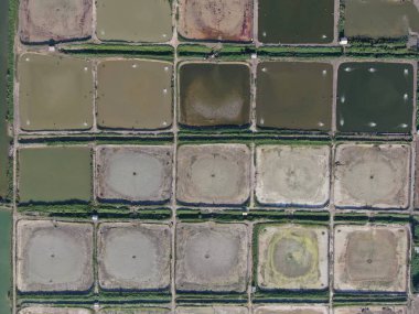 Kuching, Sarawak / Malezya - 1 Şubat 2020: Malezya 'da bir balıkçılık ve karides çiftliğinin havadan görünüşü