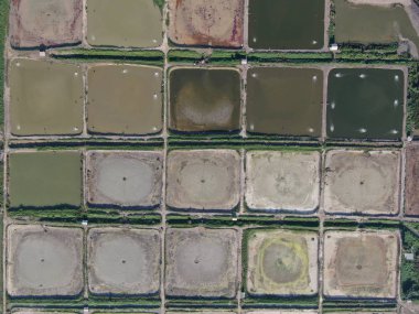 Kuching, Sarawak / Malezya - 1 Şubat 2020: Malezya 'da bir balıkçılık ve karides çiftliğinin havadan görünüşü