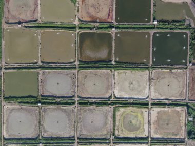 Kuching, Sarawak / Malezya - 1 Şubat 2020: Malezya 'da bir balıkçılık ve karides çiftliğinin havadan görünüşü