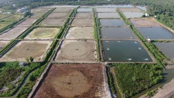 Kuching Sarawak Malaysia February 2020 Aerial View Fishery Prawn Farm — Stock Video