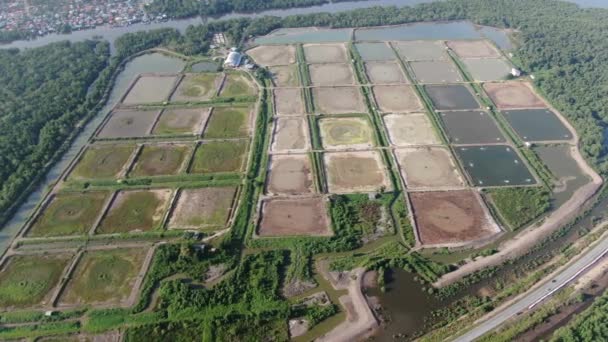 Kuching Sarawak Malaysia February 2020 Aerial View Fishery Crewn Farm — стоковое видео