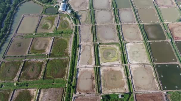 Kuching Sarawak Malaysia February 2020 Aerial View Fisheries Prawn Farm — 图库视频影像