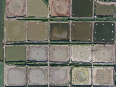 Kuching, Sarawak / Malezya - 1 Şubat 2020: Malezya 'da bir balıkçılık ve karides çiftliğinin havadan görünüşü