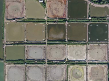 Kuching, Sarawak / Malezya - 1 Şubat 2020: Malezya 'da bir balıkçılık ve karides çiftliğinin havadan görünüşü