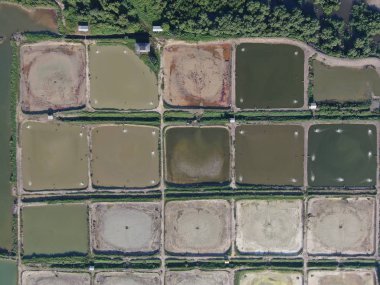 Kuching, Sarawak / Malezya - 1 Şubat 2020: Malezya 'da bir balıkçılık ve karides çiftliğinin havadan görünüşü