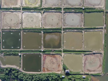 Kuching, Sarawak / Malezya - 1 Şubat 2020: Malezya 'da bir balıkçılık ve karides çiftliğinin havadan görünüşü