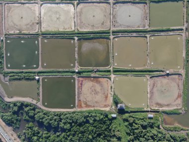 Kuching, Sarawak / Malezya - 1 Şubat 2020: Malezya 'da bir balıkçılık ve karides çiftliğinin havadan görünüşü