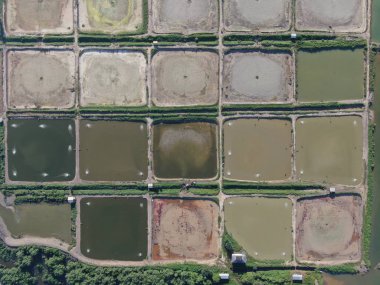 Kuching, Sarawak / Malezya - 1 Şubat 2020: Malezya 'da bir balıkçılık ve karides çiftliğinin havadan görünüşü