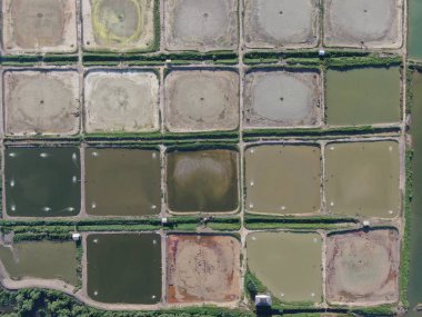 Kuching, Sarawak / Malezya - 1 Şubat 2020: Malezya 'da bir balıkçılık ve karides çiftliğinin havadan görünüşü