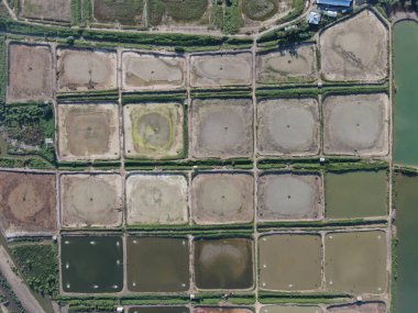 Kuching, Sarawak / Malezya - 1 Şubat 2020: Malezya 'da bir balıkçılık ve karides çiftliğinin havadan görünüşü