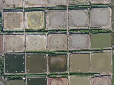 Kuching, Sarawak / Malezya - 1 Şubat 2020: Malezya 'da bir balıkçılık ve karides çiftliğinin havadan görünüşü