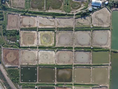 Kuching, Sarawak / Malezya - 1 Şubat 2020: Malezya 'da bir balıkçılık ve karides çiftliğinin havadan görünüşü