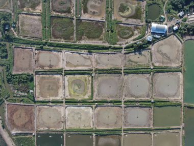 Kuching, Sarawak / Malezya - 1 Şubat 2020: Malezya 'da bir balıkçılık ve karides çiftliğinin havadan görünüşü