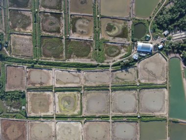 Kuching, Sarawak / Malezya - 1 Şubat 2020: Malezya 'da bir balıkçılık ve karides çiftliğinin havadan görünüşü