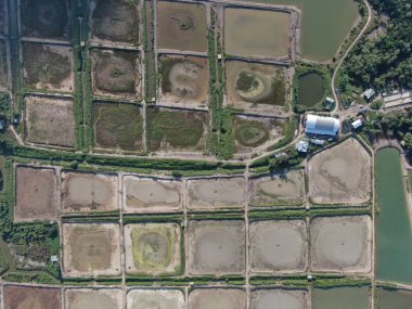 Kuching, Sarawak / Malezya - 1 Şubat 2020: Malezya 'da bir balıkçılık ve karides çiftliğinin havadan görünüşü