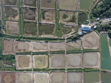 Kuching, Sarawak / Malezya - 1 Şubat 2020: Malezya 'da bir balıkçılık ve karides çiftliğinin havadan görünüşü