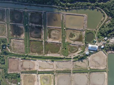 Kuching, Sarawak / Malezya - 1 Şubat 2020: Malezya 'da bir balıkçılık ve karides çiftliğinin havadan görünüşü