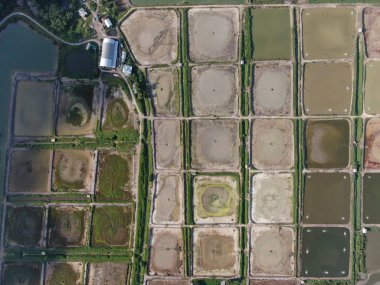 Kuching, Sarawak / Malezya - 1 Şubat 2020: Malezya 'da bir balıkçılık ve karides çiftliğinin havadan görünüşü