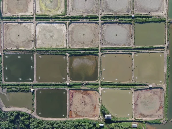 Kuching, Sarawak / Malezya - 1 Şubat 2020: Malezya 'da bir balıkçılık ve karides çiftliğinin havadan görünüşü