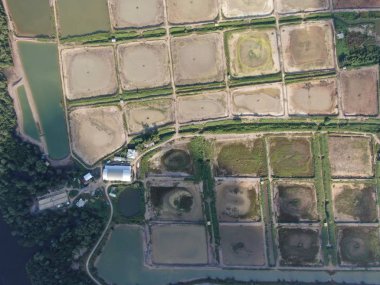 Kuching, Sarawak / Malezya - 1 Şubat 2020: Malezya 'da bir balıkçılık ve karides çiftliğinin havadan görünüşü