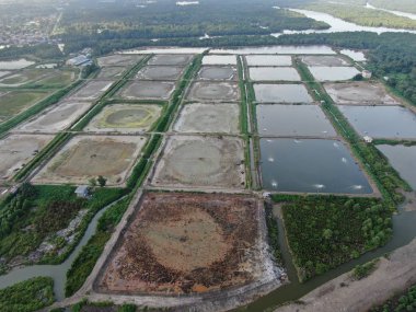 Kuching, Sarawak / Malezya - 1 Şubat 2020: Malezya 'da bir balıkçılık ve karides çiftliğinin havadan görünüşü