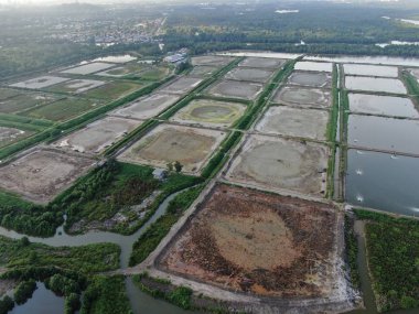 Kuching, Sarawak / Malezya - 1 Şubat 2020: Malezya 'da bir balıkçılık ve karides çiftliğinin havadan görünüşü